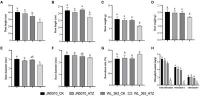 Physiological and biochemical characteristics and microbial responses of Medicago sativa (Fabales: Fabaceae) varieties with different resistance to atrazine stress